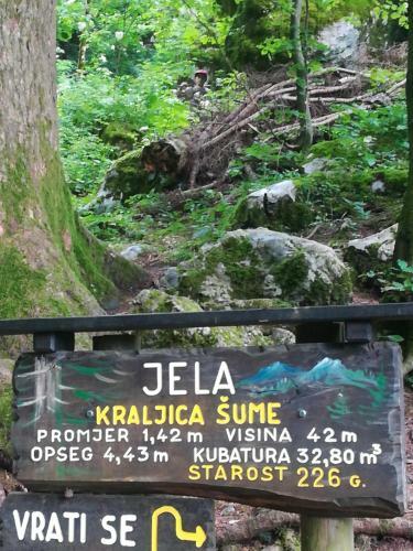 Apartamento Drago Kremenja?