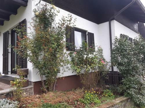 Apartman Ksenija Delnice