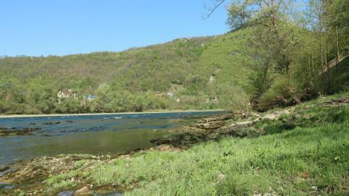 Drina's Heart