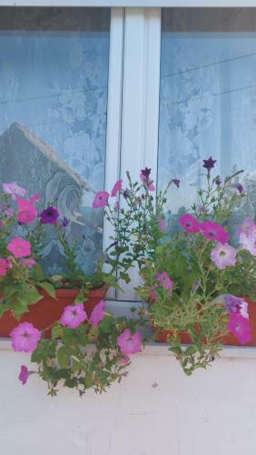 Hostal Apartman Vesna