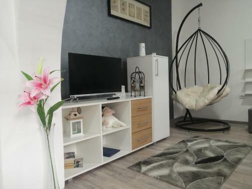 Apartments Ivanovic Bb