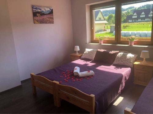 Apartamento Willa Nad Potokiem