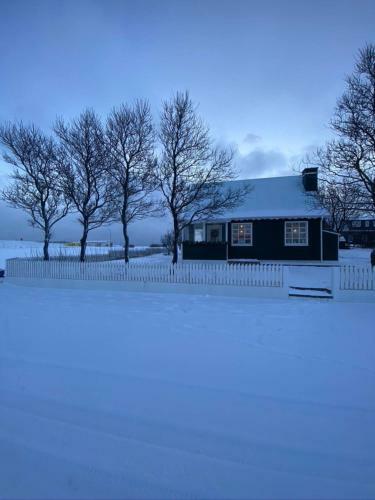 Apartamento Explore Southern Iceland From The Green Cottage