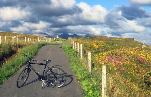 Apartment 294 - Clifden