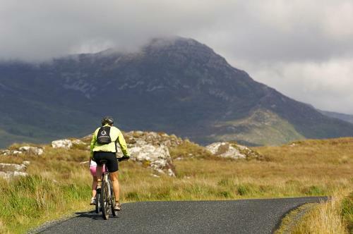 Cottage 380 - Clifden
