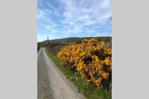 Spacious Seaside Apartment 3km From Clifden