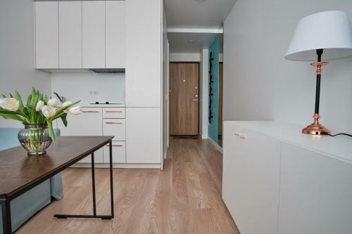 Apartamento Cosy Studio Near Akropolis And ?vyturio Arena
