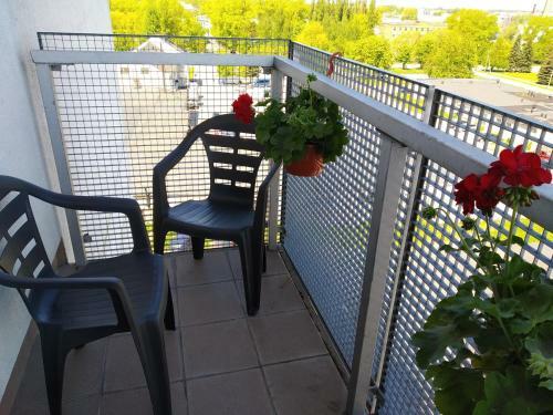 Baltijos 12b Apartamentai