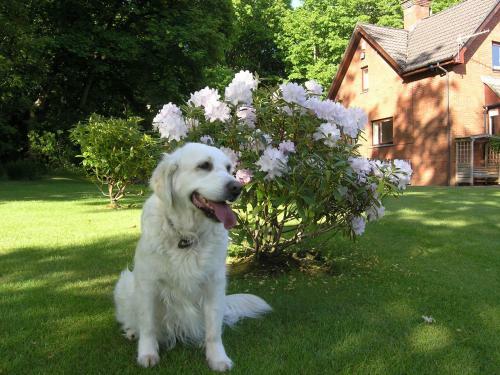 Whistlers Dell B&B