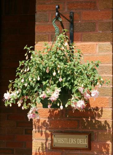 Whistlers Dell B&B