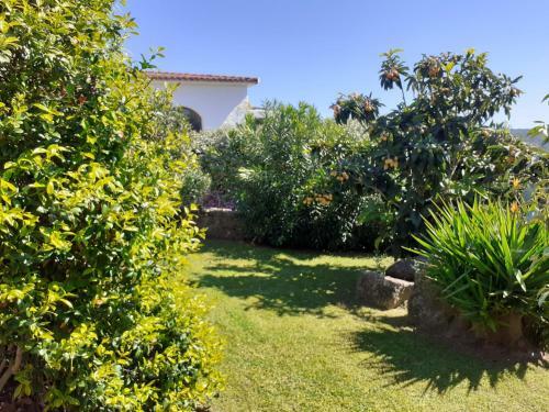 Apartamento Stazzzu Solianu