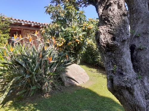 Apartamento Stazzzu Solianu