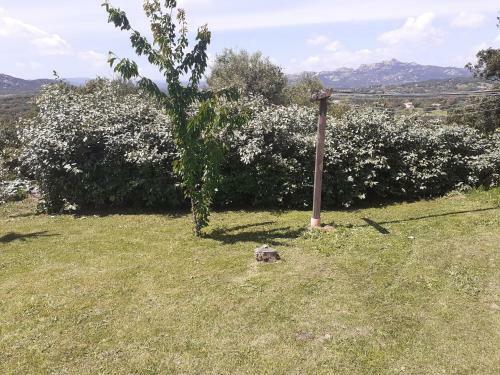 Apartamento Stazzzu Solianu