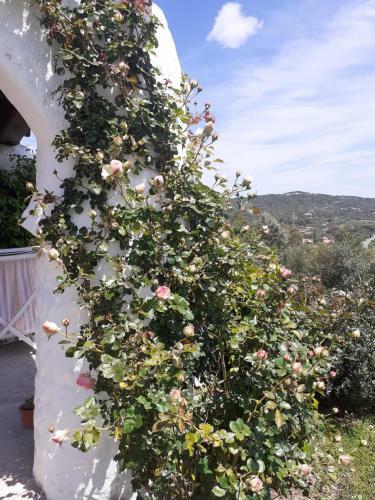 Apartamento Stazzzu Solianu