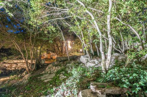 Private Villa Close To Famous Myrtos Beach With Private Boat!