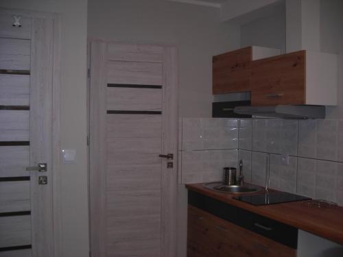 Apartamenty Centrum Pa?acowa