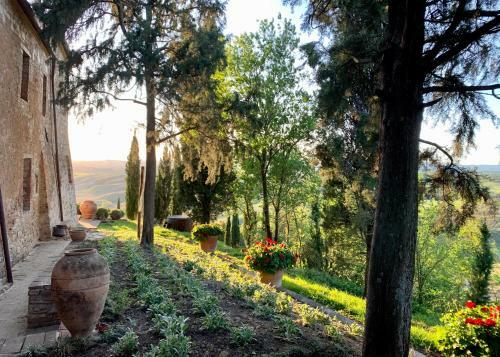 The Lazy Olive Villa - Podere Finerri