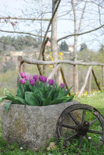 Il Roccolo , Ascoli Piceno