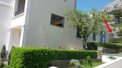Hostal Guest House Fenix Brela