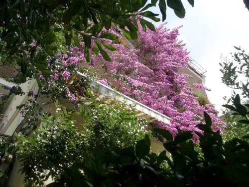 Apartamento Villa Libertas