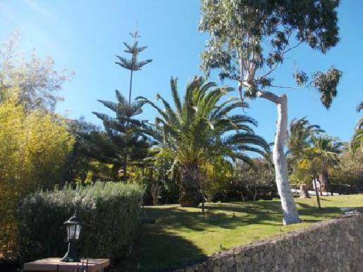 Hotel La Palma Romantica