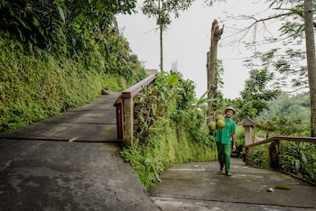 Hotel Kupu Kupu Barong Villas & Tree Spa