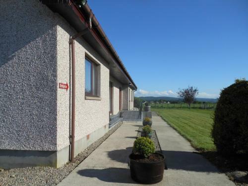 Bed & Breakfast Hillview Park