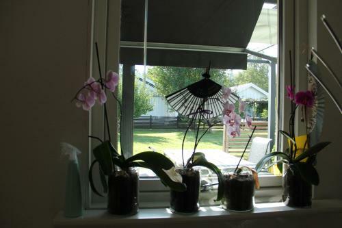Private Room For Rent In A Villa With Garden View