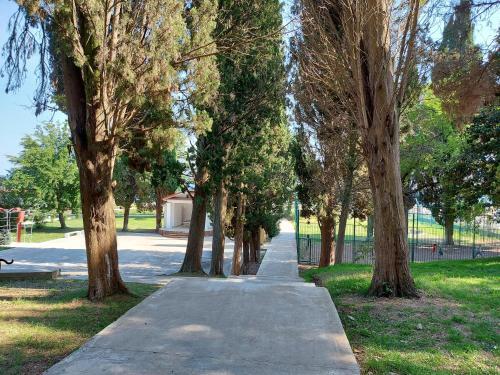 Hostal Narsou Guest House