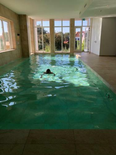 Apartamento Penthouse In Badhuis Cadzand