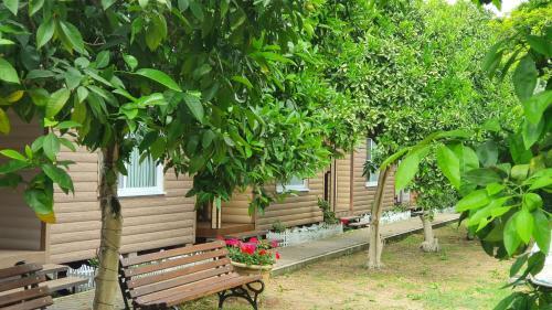 Hostal Breeze