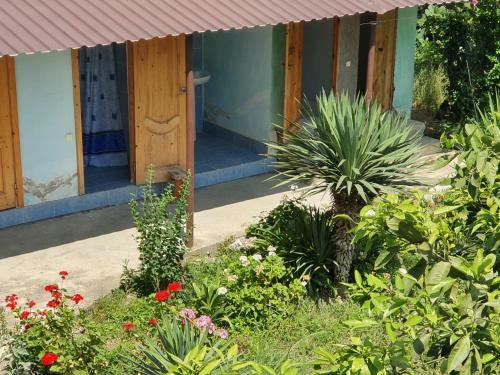 Hostal Breeze