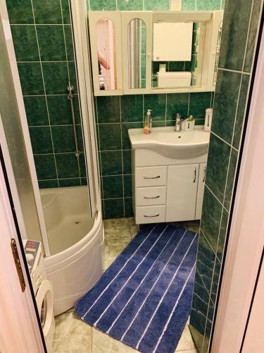 Apartman Pejica
