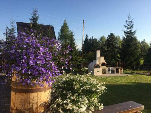 Hostal Pensiunea Colt de Rai