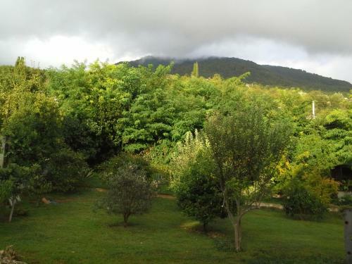 Hostal Guest House Villa Roza
