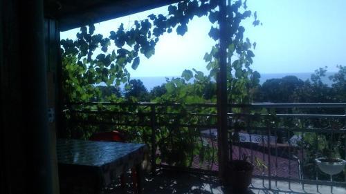 Hostal Guest House ??????-?????