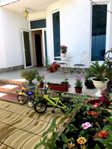 Hostal Emiliya Guest House