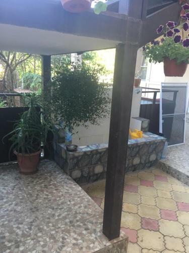 Hostal Davido Hotel