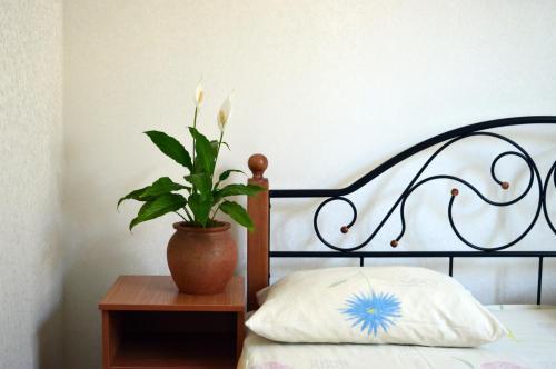 Hostal Guest House On Kabardinskaya 107