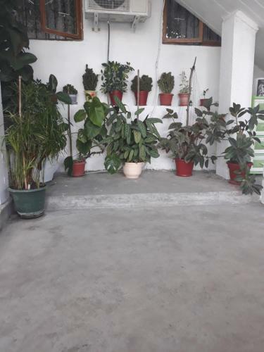 Apartamento ???????? ??? ??????