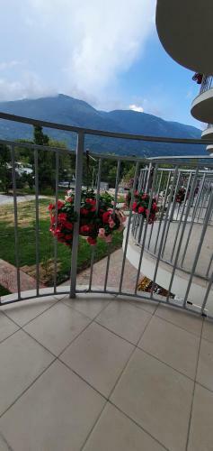 Hotel Evropa