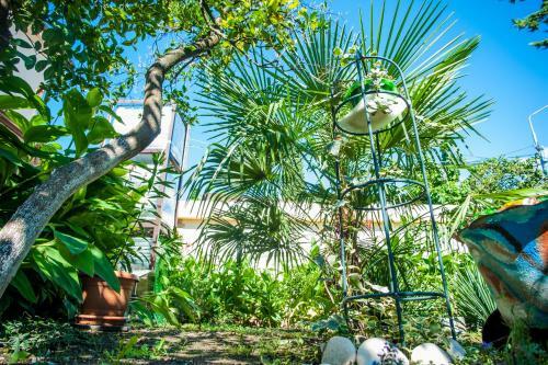 Hostal Rusamra Guest House