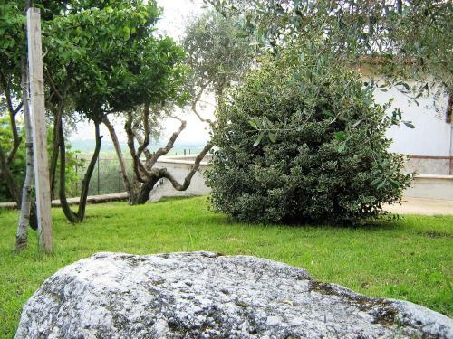B&B Maison Villa Vittorio