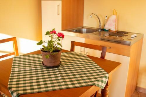 Turisti?na Kmetija Vrezner Apartment