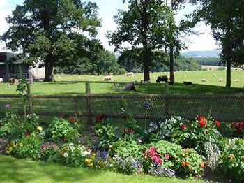 Bed & Breakfast Yew Tree Farm