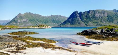 Cozy Cabin In Central Lofoten With Beautiful Ocean View