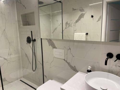 Vytautas Park Apartment