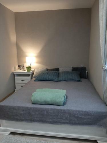 Ir Apartment