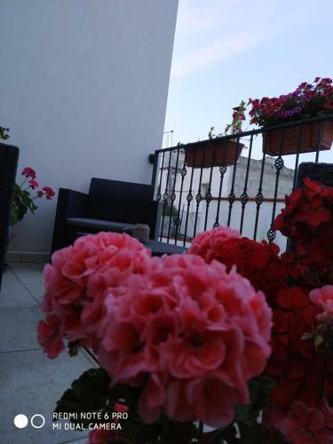 Bed & Breakfast Il Vicoletto