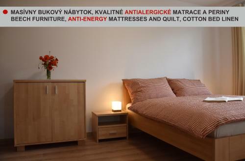 Apartamento Elemir